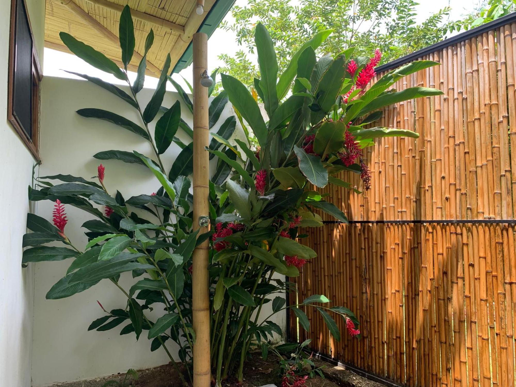 Bambura Bahia Villas 乌维塔 外观 照片